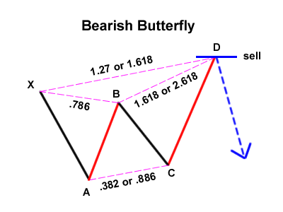 Pola Butterfly dalam belajar forex